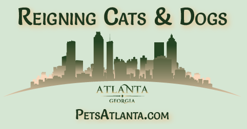 Reigning Cats & Dogs Logo.png